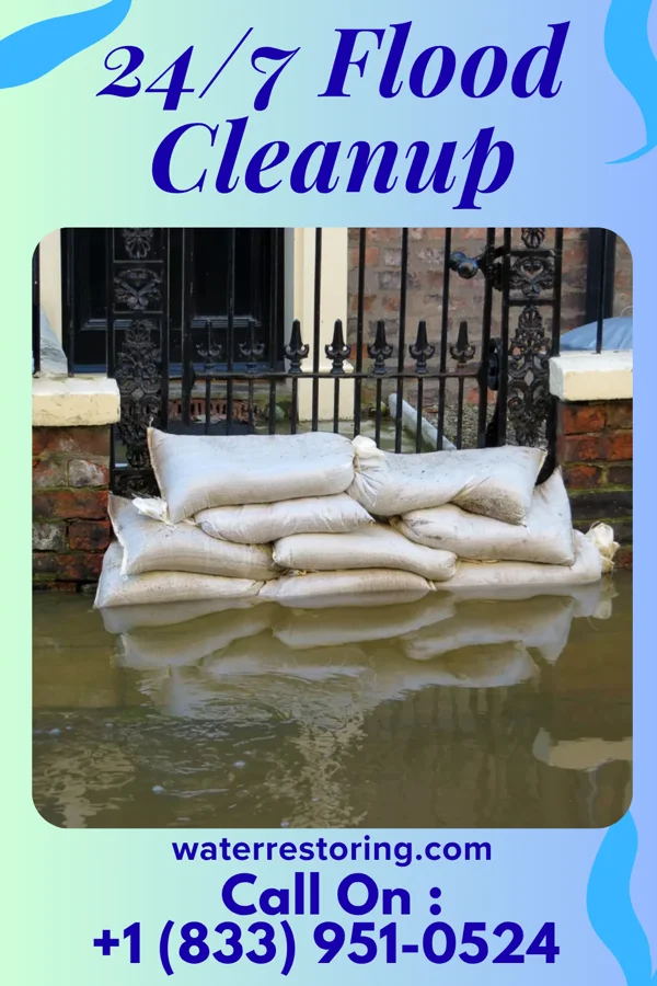 24/7 Flood Cleanup in Ardsley, NY