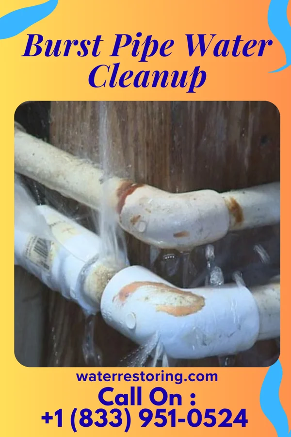 Burst Pipe Water Cleanup in Ardsley, NY