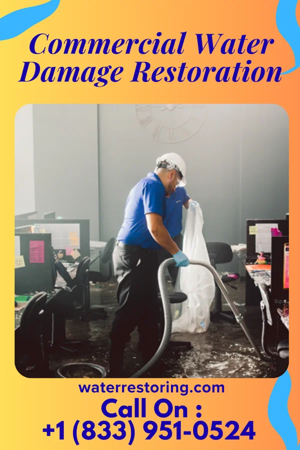 Commercial Water Damage Restoration in Ardsley, NY