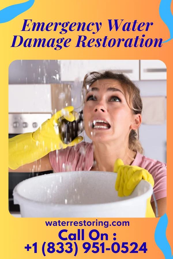 Emergency Water Damage Restoration in Ardsley, NY