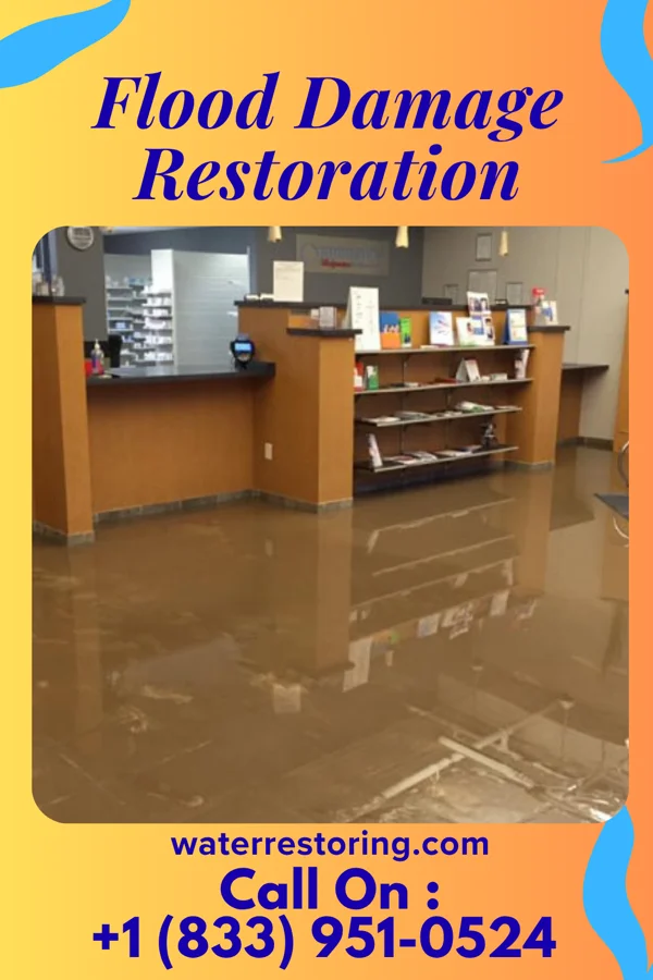 Flood Damage Restoration in Ardsley, NY