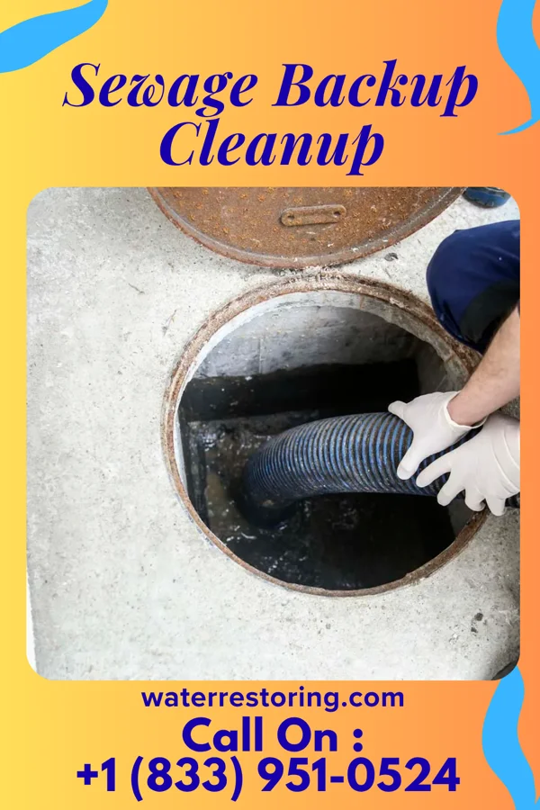 Sewage Backup Cleanup in Ardsley, NY