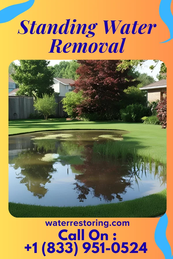 Standing Water Removal in Ardsley, NY